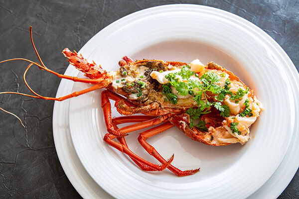 山彦 クリスマスコース