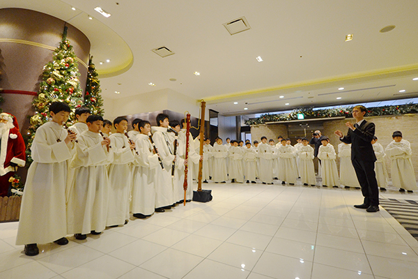 Valentine's day collection 2026 